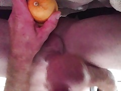 Fat holly