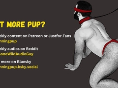 [Audio] Boink the Yam-sized Bad Bottom Teddy