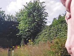 Small uncut in the sun