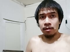 My Fighting Cock
