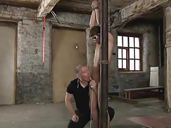 5 Ausgeliefert