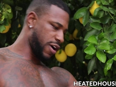 A sexual act in the garden to satisfy horny Grant and Masyn
