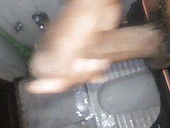 Indian cock