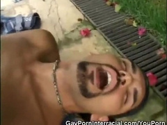 Warm Multiracial Act In The Garden