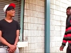 T.B. he back again