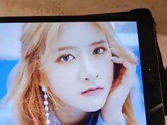 Wjsn exy cumtribute