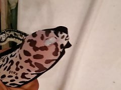 Cum in wife's middle sister's thong