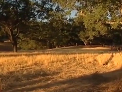 Amazing Adult Scene Homosexual Vintage Exclusive Just For You