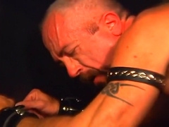 Extreme Cock Action With Two Bears