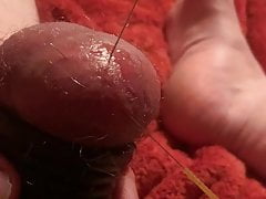 Needle in Testicle Draining