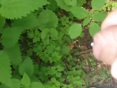 Natur abspritzen