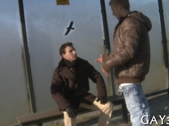 Hot & horny dude plows his way into hot stud's ass