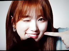 izone nako cum tribute