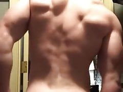 Ginger muscle bates