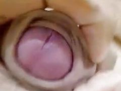 Pink Dick