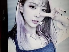 Dreamcatcher Yoohyeon Birthday Cum Tribute
