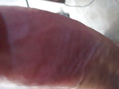 Mature cock, very hard and very greedy
