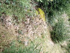 Outdoor wixen