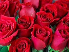 Curvy mature Desi Mazaa shows off her big ass in hot scenes