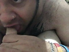 Used Bear Throat