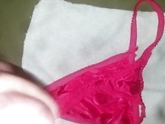 cumming on favorite pink thong again