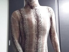 Zentai 13 Takzentai