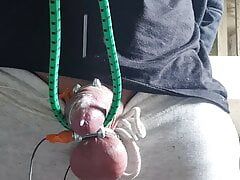 Tens milking