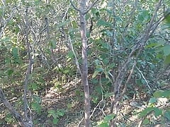 Lonely guy in the Amazon jungle totally naked, looking for nettle leaves.