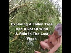 Tree Exploring