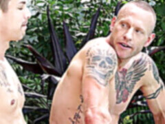 Bj, teddy, videa v hd