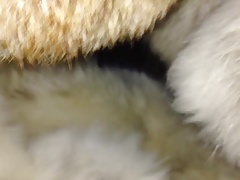 CUM INTO THE FOX FUR CLOSET