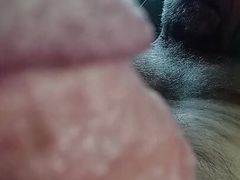 Ass Sharing Double Jo 4u