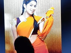 TV Actress Swasika Cum Tribute