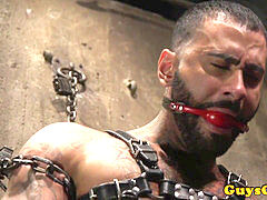 tattooed marionette held for toying and jerking