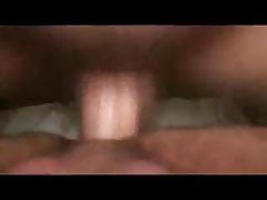Swallow dad bear cum after barebck