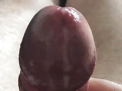 My cumshots.wmv