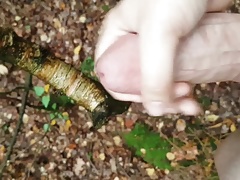 Wank in the woods and cum on a tree