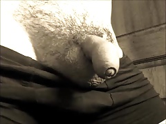 Precum begins to flow from tiny cock