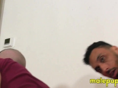 You picked a fist fight with the two giants Castro Covington and Richard Lennox