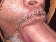 THE FEED II