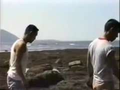 Asian Beach Boys