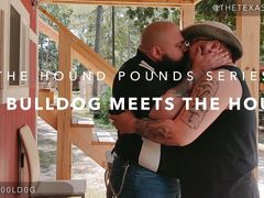 The Bulldog Meets The Hound