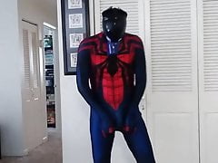 Spidey-Dog, part 1
