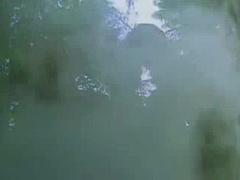 sensation In The Jungle