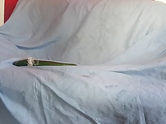 cucumber in zeee asshole