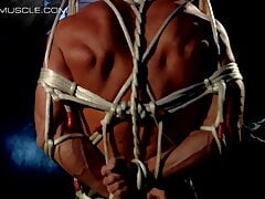 Dom Tyler Saint tries to break his slave Beau Sinclair