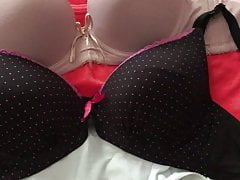 Big cumshot on cousin bra -part 2