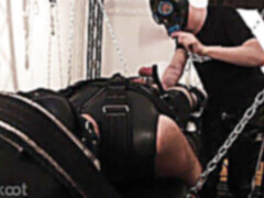 Gay cock, filmy hd, trikoot