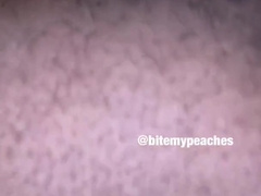 Chub DL vs Ebony Bottom