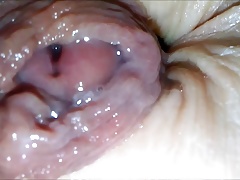 Dickhole Delight